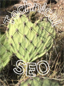 heart shaped cactus Prescott AZ with technical SEO words